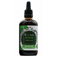 Produktbild von Lymeherbs Houttuynia Extrakt 1:1 alkoholfrei 100 ml