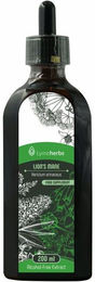 Lymeherbs Igel-Stachelbart Lion's Mane Alkoholfreier Extrakt Flüssig 200 ml – Bild 1 von 2