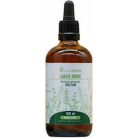 Produktbild von Lymeherbs Igel-Stachelbart Lion's Mane Tinktur 1:2 Tropfen 100 ml