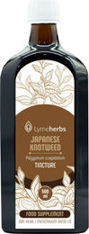 Lymeherbs Japanischer Staudenknöterich 1:5 Flüssig 500 ml – Bild 1 von 2