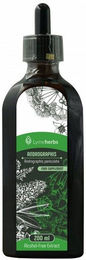 Lymeherbs Kalmegh Andrographis Alkoholfreier Extrakt Flüssig 200 ml – Bild 1 von 1