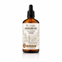 Lymeherbs Löwenzahn-Tinktur 1:3 Tropfen 100 ml – Bild 1 von 2
