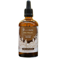 Produktbild von Lymeherbs Pinienpollen Kiefernpollen Tinktur 1:5 Tropfen 100 ml