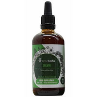 Produktbild von Lymeherbs Roter Salbei Wurzel Extrakt 1:1 alkoholfrei 100 ml