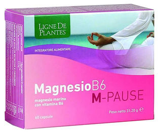 M-Core MAGNESIO B6 M-PAUSE Kapseln 60 Stück – Bild 1 von 1