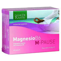 Produktbild von M-Core MAGNESIO B6 M-PAUSE Kapseln 60 Stück