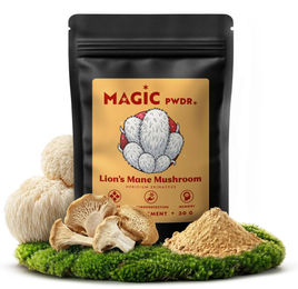 Magic Pwdr Lion's Mane Löwenmähne Pilz Pulver 30g Extrakt 10:1 vegan ohne Zusatzstoffe – Bild 1 von 3