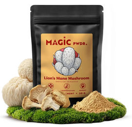 Magic Pwdr Lion's Mane Löwenmähne Pilz Pulver mit 10:1 Extrakt 50g – Bild 1 von 3