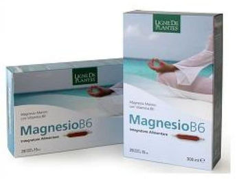 MAGNESIO B6 Natura Service Magnesium und Vitamin B6 Ampullen 20 Stück à 15 ml zur Injektion – Bild 1 von 1