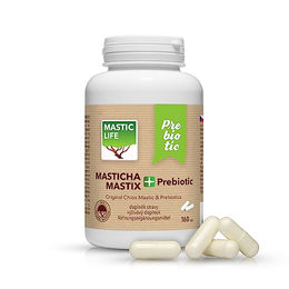 Masticlife Mastix+ Prebiotic mit Inulin, 160 Kapseln – Bild 1 von 2