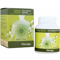 Produktbild von Mastiha Therapy Chios Mastiha 350 mg vegane Kapseln 90 Stück