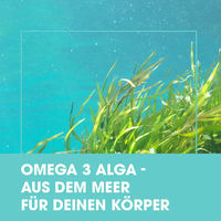 Produktbild von MediVital OMEGA-3 ALGA vegan Kapseln 120 Stück