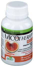 MICOTHERAPY Reishi Bio Kapseln glutenfrei 90 Stück – Bild 1 von 1