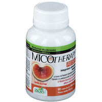Produktbild von MICOTHERAPY Reishi Bio Kapseln glutenfrei 90 Stück