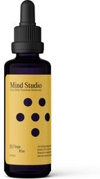 Mind Studio Chaga Bio Pilztinktur Tropfen Vegan 50 ml – Bild 1 von 10
