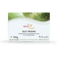 Produktbild von MITOcare Gut Friend Pulver