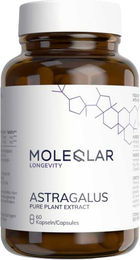 Moleqlar Astragalus Kapseln vegan ohne Zusatzstoffe 60 Stück – Bild 1 von 1