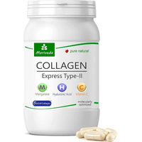 Produktbild von MoriVeda Collagen Typ II Express Kapseln laktosefrei 60 Stück