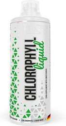 MST Chlorophyll Flüssig 1000 ml – Bild 1 von 1