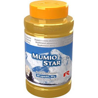 Produktbild von Mumio Star Mumijo Altai Kügelchen 60 Stück