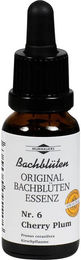 Murnauer Bachblüten Cherry Plum Essenz Tropfen 20 ml – Bild 1 von 2