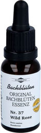 Murnauer Bachblüten Wild Rose Essenz Tropfen 20 ml – Bild 1 von 2