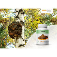 Produktbild von MycoMedica Chaga Extrakt Kapseln mit 30% Polysacchariden und 4% Triterpenen