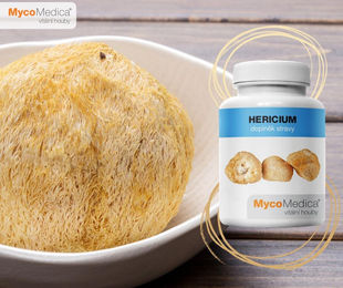 MycoMedica Hericium Kapseln mit 30% Polysacchariden 90 Stück – Bild 1 von 2