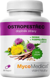 Mycomedica Mariendistel Kapseln vegan 90 Stück – Bild 1 von 1