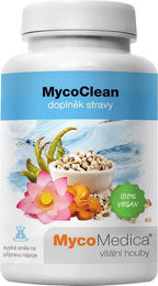 MycoMedica MycoClean Kräuter-Komplex Pulver 99g – Bild 1 von 1