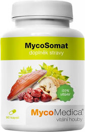 MycoMedica MycoSomat Kapseln 90 Stück – Bild 1 von 1