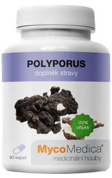 MycoMedica Polyporus 90 Tabletten – Bild 1 von 2