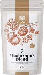MycoWay Mischung aus sieben Pilzextrakten Pulver 250 g – Bild 1 von 1
