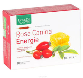 N1 Rosa Canina Energie Bio Trinkfertige Ampullen 10 x 10 ml – Bild 1 von 1