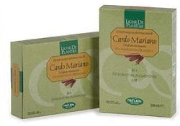 Natura Cardo Mariano Bio Ampullen 20 Stück à 15 ml – Bild 1 von 1