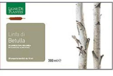 Natura Service Biologisches Birkensaft-Konzentrat Alkoholfrei 20 Ampullen à 15 ml – Bild 1 von 1