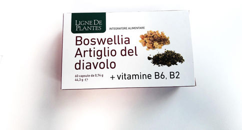 Natura Service Boswellia Weihrauch mit B-Komplex Vitamin B2 B6 B9 60 Kapseln – Bild 1 von 1