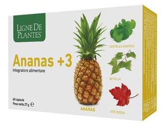 Natura Service Bromelain Ananas 60 Kapseln – Bild 1 von 1