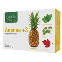Produktbild von Natura Service Bromelain Ananas 60 Kapseln