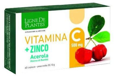 NATURA SERVICE Vitamin C 500 mg und Zink mit Acerola und Bambusextrakt Kapseln 60 Stück – Bild 1 von 1