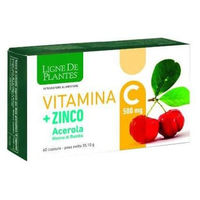 Produktbild von NATURA SERVICE Vitamin C 500 mg und Zink mit Acerola und Bambusextrakt Kapseln 60 Stück