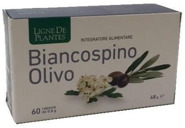 Natura Service Weißdorn-Olivenextrakt Kapseln vegan 60 Stück – Bild 1 von 1