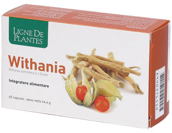Natura Service Withania Kapseln pflanzlicher Ursprung 60 Stück – Bild 1 von 1