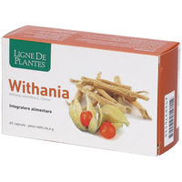Produktbild von Natura Service Withania Kapseln pflanzlicher Ursprung 60 Stück