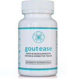 Natural Products Clinic Gout Ease Kräuter-Komplex Vegan Kapseln – Bild 1 von 1