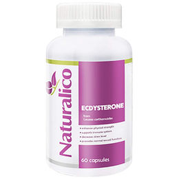 Naturalico Ecdysteron Kapseln mit pflanzlichem Ursprung – Bild 1 von 1