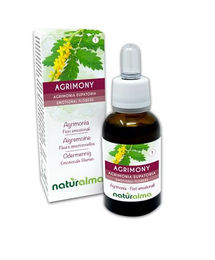 Naturalma Agrimony Odermennig Bachblüten Tropfen 30 ml vegan ohne Zusatzstoffe – Bild 1 von 2