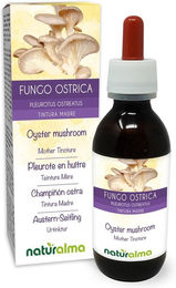 Naturalma Austernseitling Pleurotus ostreatus Flüssig Extrakt Tropfen vegan zuckerfrei ohne Zusatzstoffe – Bild 1 von 1