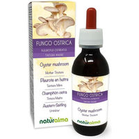 Produktbild von Naturalma Austernseitling Pleurotus ostreatus Flüssig Extrakt Tropfen vegan zuckerfrei ohne Zusatzstoffe