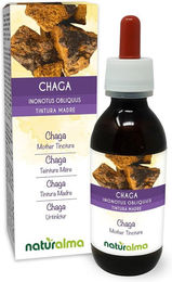 Naturalma Chaga Inonotus obliquus Extrakt Tropfen vegan zuckerfrei ohne Zusatzstoffe 40 ml – Bild 1 von 2